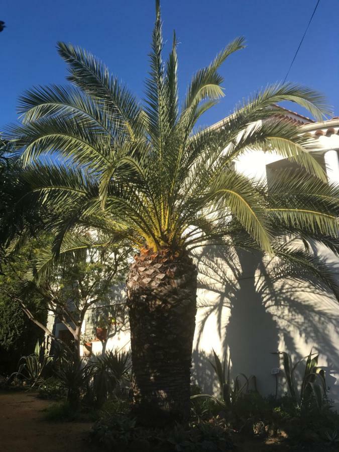 Rez De Villa Pebrier Fréjus Exterior foto